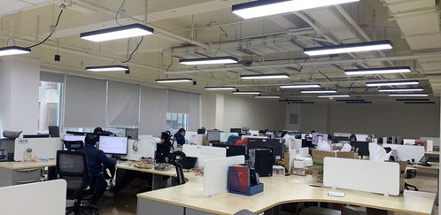 成都高新區 支持小微企業突出一個 實 字